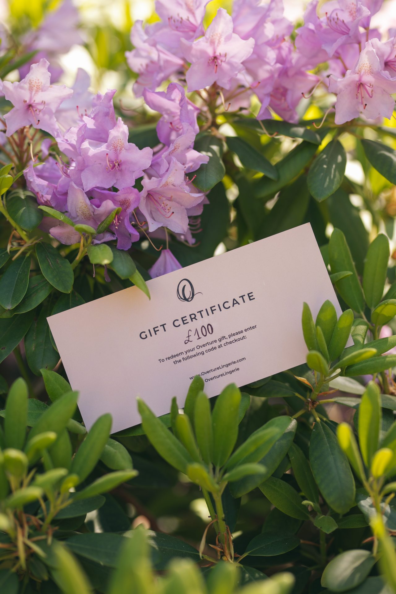 Overture lingerie gifts